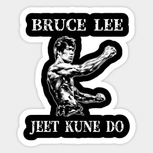 Vintage Bruce Movie Jeet Kune Do Be Water Lee Sticker